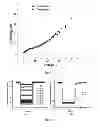 Fig. 09 - Cycloidal diffractive waveplate and method of manufacture