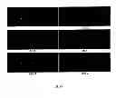 Fig. 19 - Cycloidal diffractive waveplate and method of manufacture