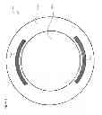Fig. 03 - Contact lens having peripheral high modulus zones