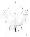 Fig. 09 - Projection apparatus