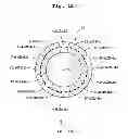 Fig. 13 - Illumination optical assembly, exposure device, and device manufacturing method