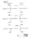 Fig. 13 - Projection optical system, exposure apparatus, and exposure method