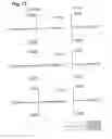 Fig. 13 - Reduction projection optical system, exposure apparatus, and exposure method