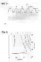 Fig. 11 - Optical element, mold, and optical device