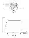 Fig. 08 - Device that electrically and rotationally adjusts an indirect visual system of a vehicle