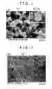 Fig. 02 - ORGANIC-INORGANIC COMPOSITE AND METHOD FOR MANUFACTURING THE SAME