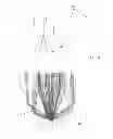 Fig. 06 - Lighting system for transparent liquid crystal display