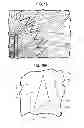 Fig. 09 - Luminaires using waveguide bodies and optical elements