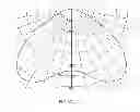 Fig. 07 - LIGHT MODIFYING ELEMENTS