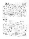 Fig. 05 - Waveguide bodies including redirection features and methods of producing same