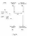Fig. 21 - Systems, methods, and devices with write optimization in phase change memory