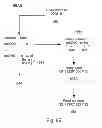 Fig. 22 - Systems, methods, and devices with write optimization in phase change memory