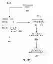 Fig. 22 - Systems, methods, and devices with write optimization in phase change memory