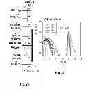 Fig. 18 - Hot carrier generation and programming in NAND flash