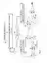 Fig. 04 - Process variation skew in an SRAM column architecture
