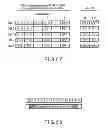 Fig. 44 - METHOD FOR PROCESSING INFORMATION, INFORMATION PROCESSING APPARATUS, AND STORAGE MEDIUM