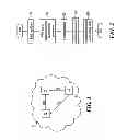 Fig. 02 - Method and Apparatus for the Fast Detection of Connectivity Loss Between Devices in a Network