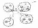 Fig. 01 - BGP slow peer detection