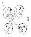 Fig. 02 - BGP slow peer detection