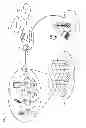 Fig. 02 - Use of a common physical cell identity in a small cell network