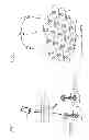 Fig. 05 - Use of a common physical cell identity in a small cell network