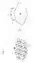 Fig. 07 - Use of a common physical cell identity in a small cell network