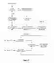 Fig. 03 - Selecting information handling system communication protocol based on network constraints