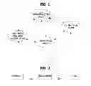 Fig. 02 - METHOD FOR DEVICE-TO-DEVICE COMMUNICATION BASED ON WIRELESS LOCAL AREA NETWORK AND APPARATUS FOR THE SAME