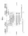 Fig. 11 - METHOD FOR DEVICE-TO-DEVICE COMMUNICATION BASED ON WIRELESS LOCAL AREA NETWORK AND APPARATUS FOR THE SAME