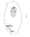 Fig. 02 - SMALL CELL BASE STATION AND VICTIM TERMINAL DEVICE DETECTION METHOD