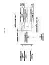 Fig. 09 - Method and apparatus for generating a dedicated reference signal