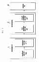 Fig. 10 - Method and apparatus for generating a dedicated reference signal