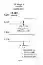Fig. 08 - USB ISOLATOR INTEGRATED CIRCUIT WITH USB 2.0 HIGH SPEED MODE AND AUTOMATIC SPEED DETECTION