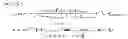 Fig. 05 - Dynamic determination of volterra kernels for digital pre-distortion