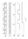 Fig. 06 - Data interface synchronization