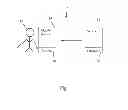 Fig. 02 - Touchless fingerprinting acquisition and processing application for mobile devices