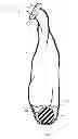 Fig. 02 - METHOD AND APPARATUS FOR SEALING A BALLOON