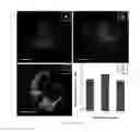 Fig. 07 - Photostable AIE luminogens for specific mitochondrial imaging and its method of manufacturing thereof
