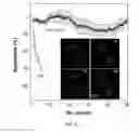 Fig. 08 - Photostable AIE luminogens for specific mitochondrial imaging and its method of manufacturing thereof