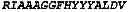 Fig. 44 - Human IL-23 antigen binding proteins