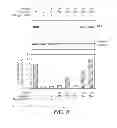 Fig. 07 - PCSK9-BINDING POLYPEPTIDES AND METHODS OF USE