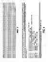 Fig. 08 - Humanized Anti-Factor D Antibodies And Uses Thereof