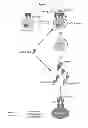 Fig. 02 - RAPID CLEARANCE OF ANTIGEN COMPLEXES USING NOVEL ANTIBODIES