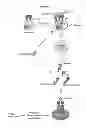 Fig. 02 - Rapid clearance of antigen complexes using novel antibodies
