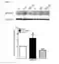 Fig. 22 - METHODS AND COMPOSITIONS FOR TREATING ATRIAL  FIBRILLATION