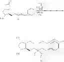 Fig. 09 - PHARMACEUTICAL COMPOSITION FOR INFLAMMATORY DISEASES, ALLERGIC DISEASES AND AUTOIMMUNE DISEASES