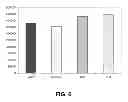 Fig. 07 - Use of modified cells for the treatment of multiple sclerosis