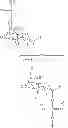 Fig. 02 - POLYPEPTIDE-VACCINES FOR BROAD PROTECTION AGAINST HYPERVIRULENT MENINGOCOCCAL LINEAGES