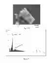 Fig. 06 - Antimicrobial Composite Material