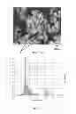 Fig. 07 - Antimicrobial Composite Material